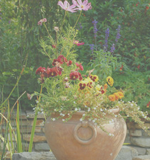 无限拨打短信软件