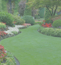 中国移动防电话轰炸